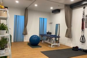 the elite wellness, therapist, private, physiotherapy, center, subang-jaya, outlet